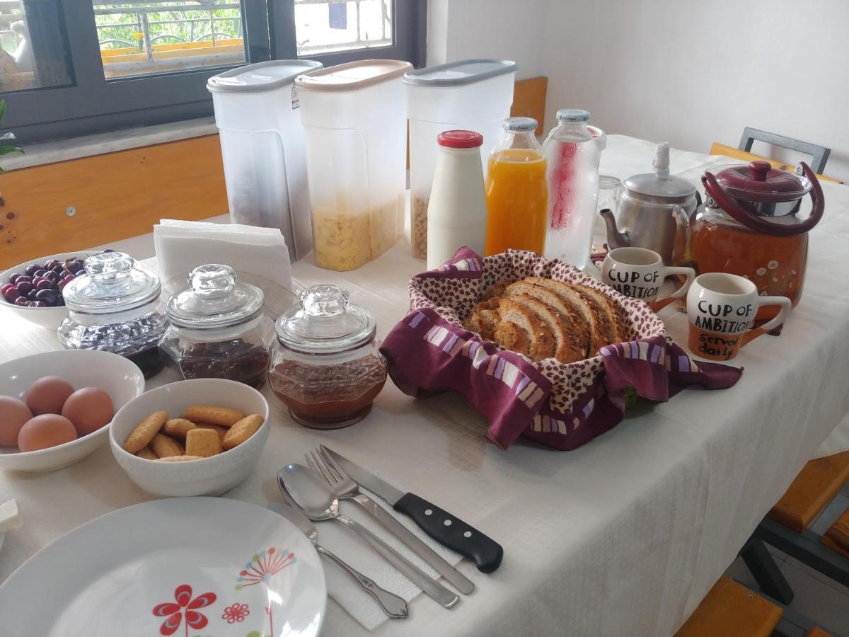 Green Garden Guesthouse Шкодер Екстер'єр фото