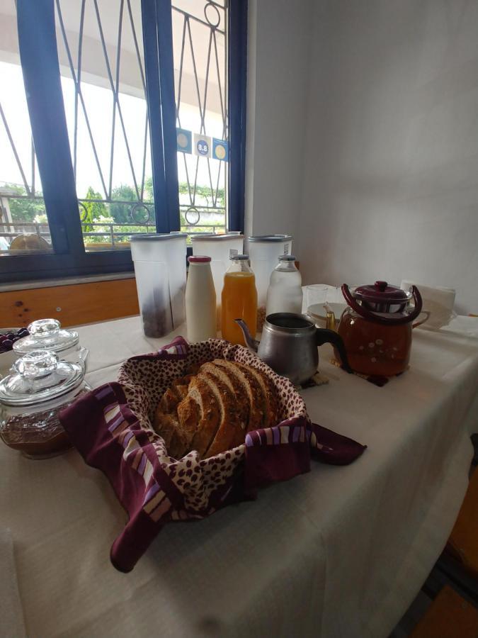 Green Garden Guesthouse Шкодер Екстер'єр фото