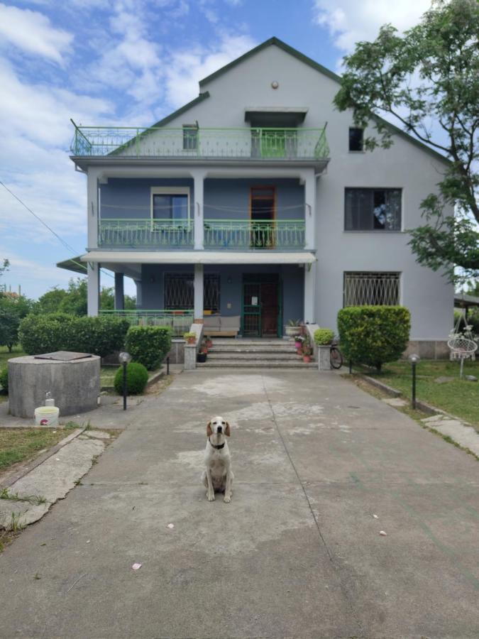 Green Garden Guesthouse Шкодер Екстер'єр фото