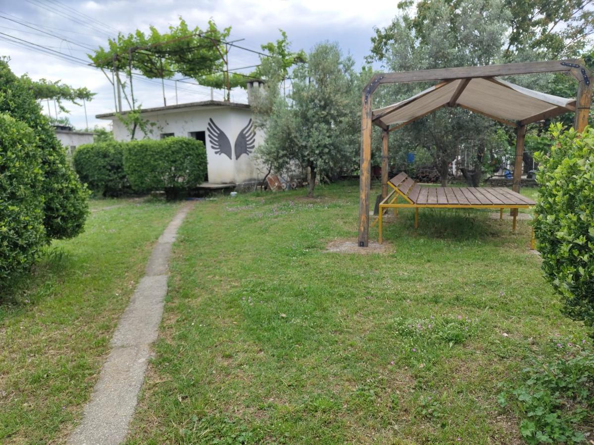 Green Garden Guesthouse Шкодер Екстер'єр фото