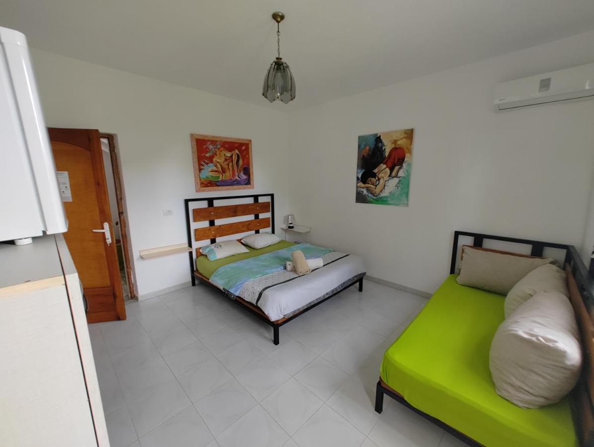 Green Garden Guesthouse Шкодер Екстер'єр фото