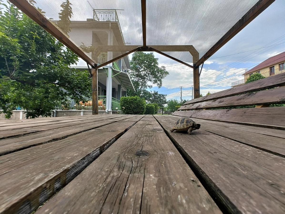 Green Garden Guesthouse Шкодер Екстер'єр фото